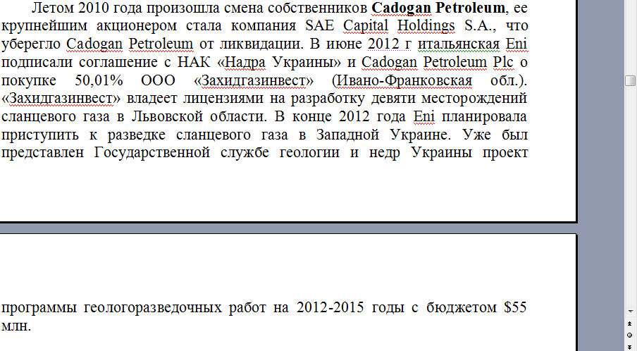 Фрагмент обзора украинского нефтегазового рынка